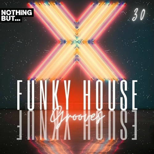  Nothing But... Funky House Grooves, Vol. 30 (2025) 