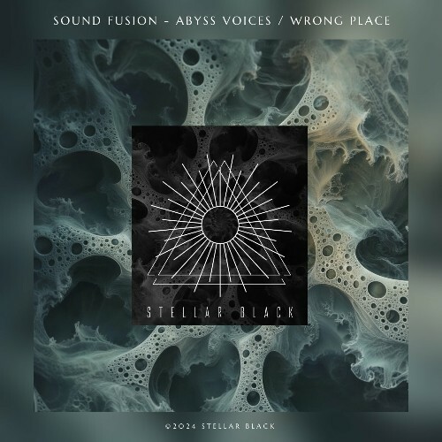  Sound Fusion - Abyss Voices / Wrong Place (2024) 
