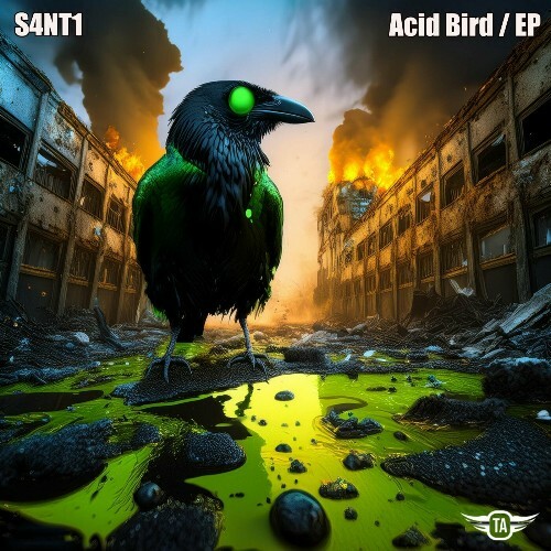 S4NT1 - Acid Bird (2024)