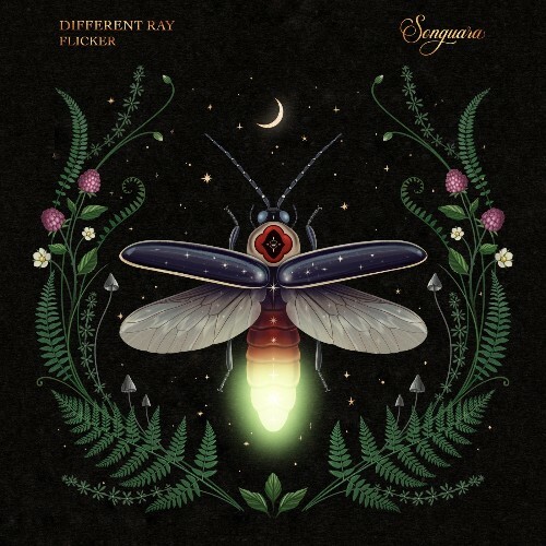  Different Ray - Flicker (2025) 