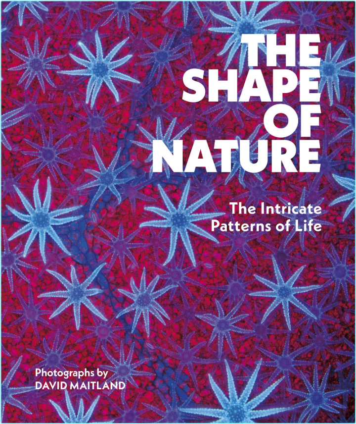 The Shape Of Nature The Intricate Patterns Of Life (David Maitland)