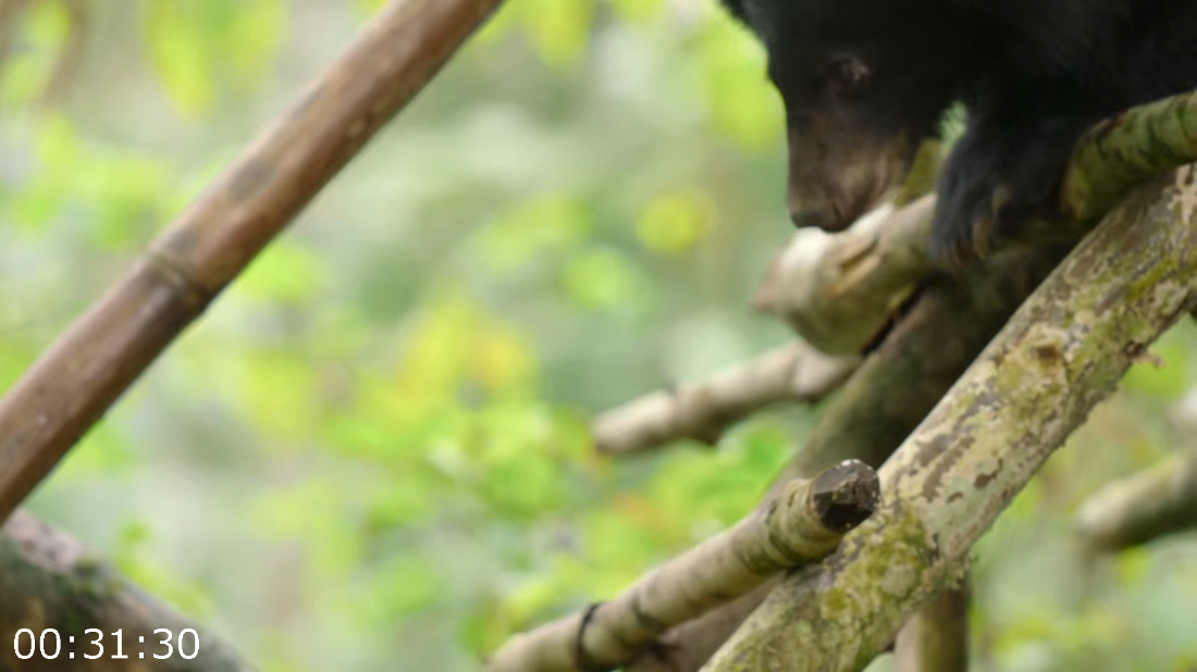 [Image: ME18VT3X_o.png]