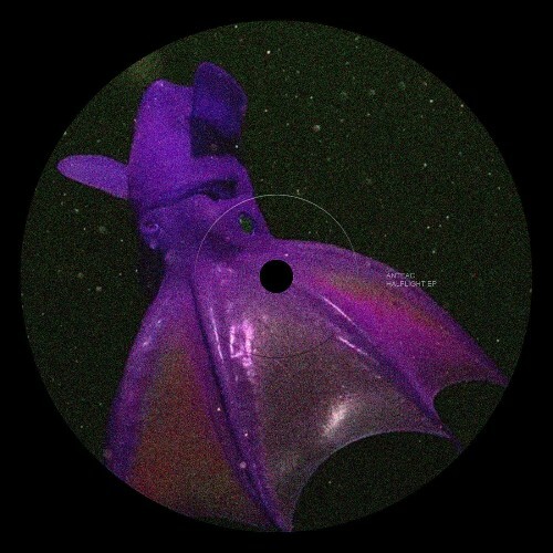  Anteac - Halflight (2025) 