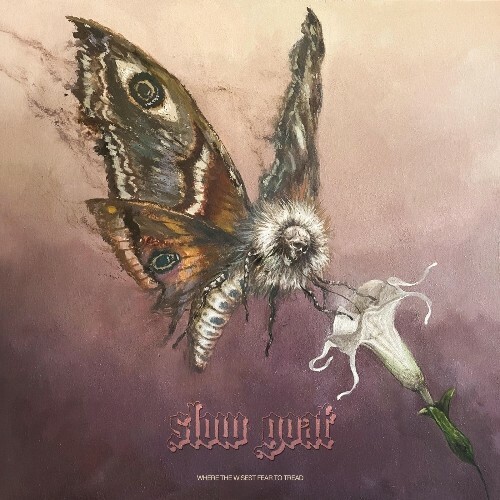 Slow Goat — Where the Wisest Fear to Tread (2026)