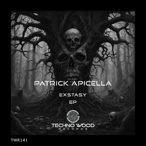 VA - Patrick Apicella - Exstasy (2024) (MP3)