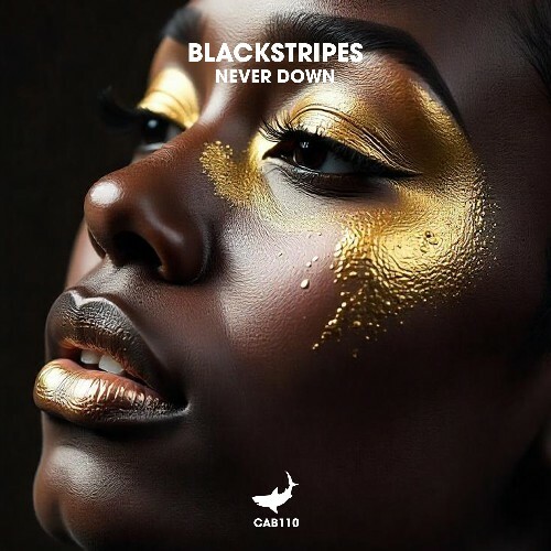  Blackstripes - Never Down (2025) 
