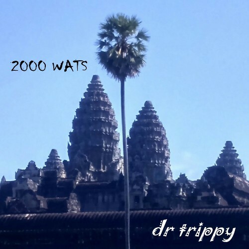  Dr Trippy - 2000 Wats (2024) 