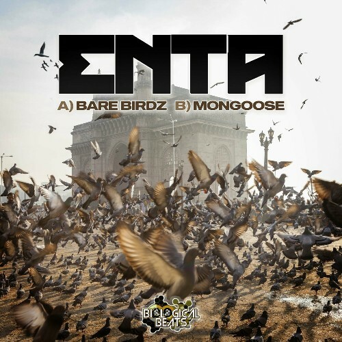 MP3:  Enta - Bare Birdz / Mongoose (2024) Онлайн