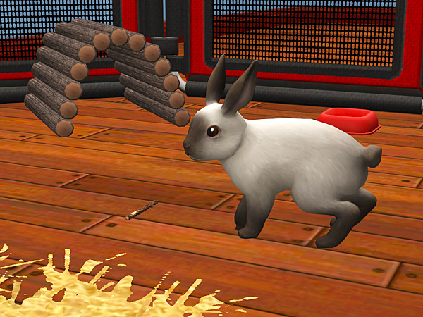 Rabbit pen - a default replacement.jpg