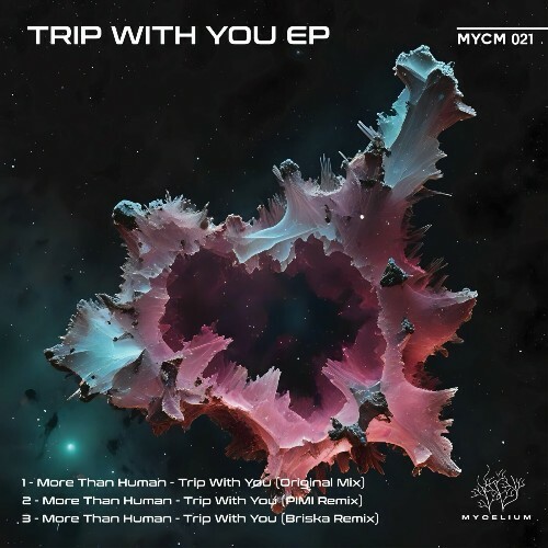 More Than Human - Trip With You (2024)