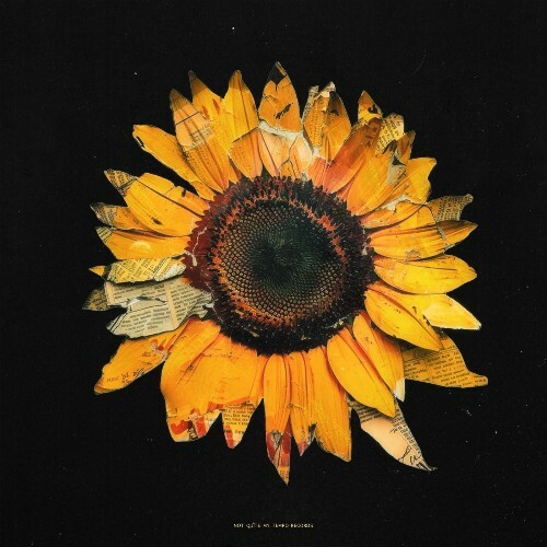  Papfay - Tournesol (2026) 