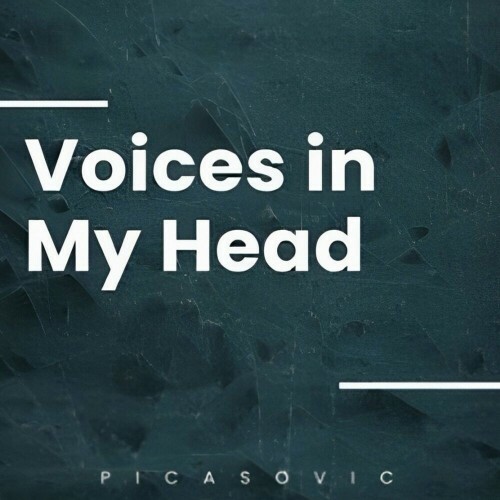  Picasovic - Voices In My Head (2024) 