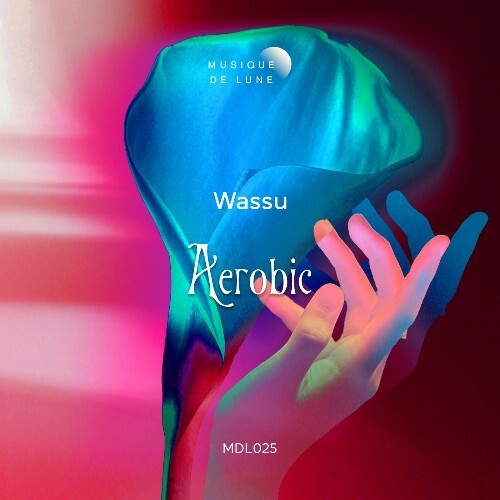  Wassu - Aerobic (2025) 