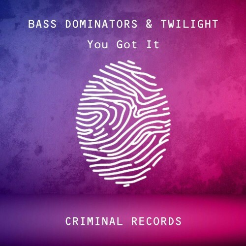  Bass Dominators and Twilight - You Got It (2024) 