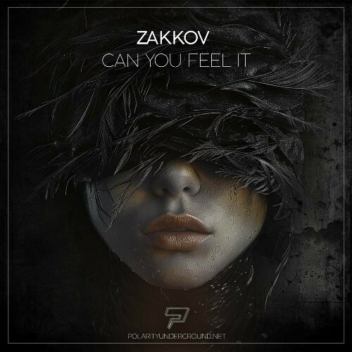  Zakkov - Can You Feel It (2024) 