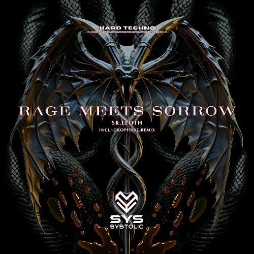  SR.LLOTH - Rage Meets Sorrow (2025) 