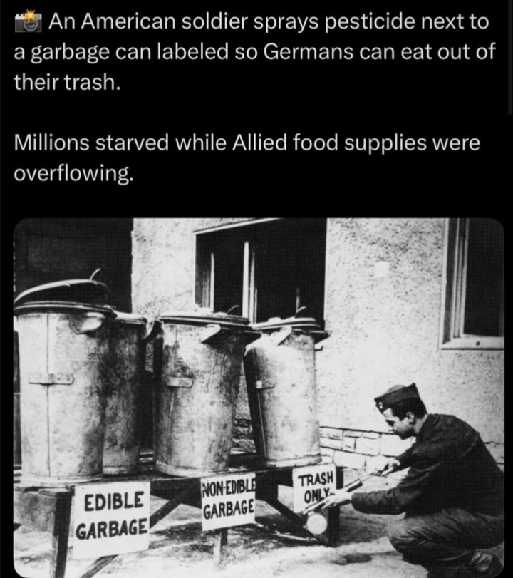 ME14V4M6_o.jpg