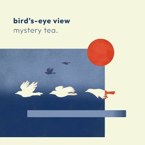  mystery tea. - Bird's-Eye View (2025) 