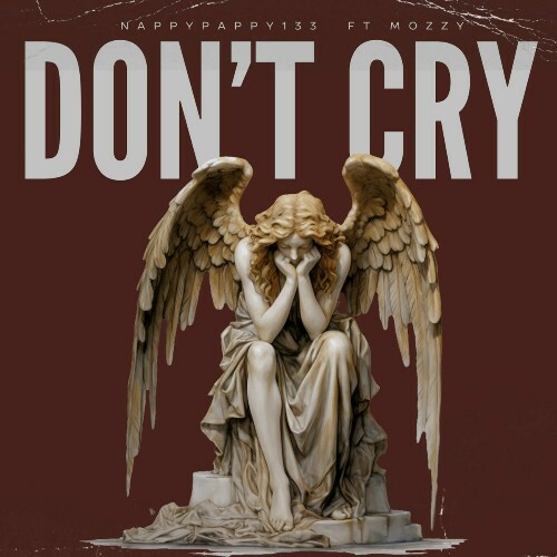  Nappy Pappy13.3 & Mozzy - Don't Cry (2024) 