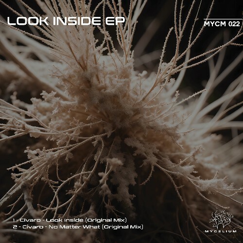 VA -  Cívaro - Look Inside (2024) [MP3] MEUR0PG_o