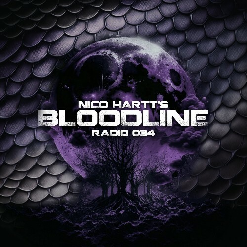  Nico Hartt - Bloodline Radio 034 (2026-02-19) 