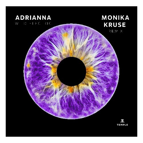 VA | Adrianna - Wild Electric (Monika Kruse Remix) 2024 год Скачать Онлайн в Mp3 (Бесплатно)