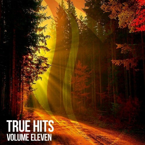  True Hits, Vol. 11 (2026) 