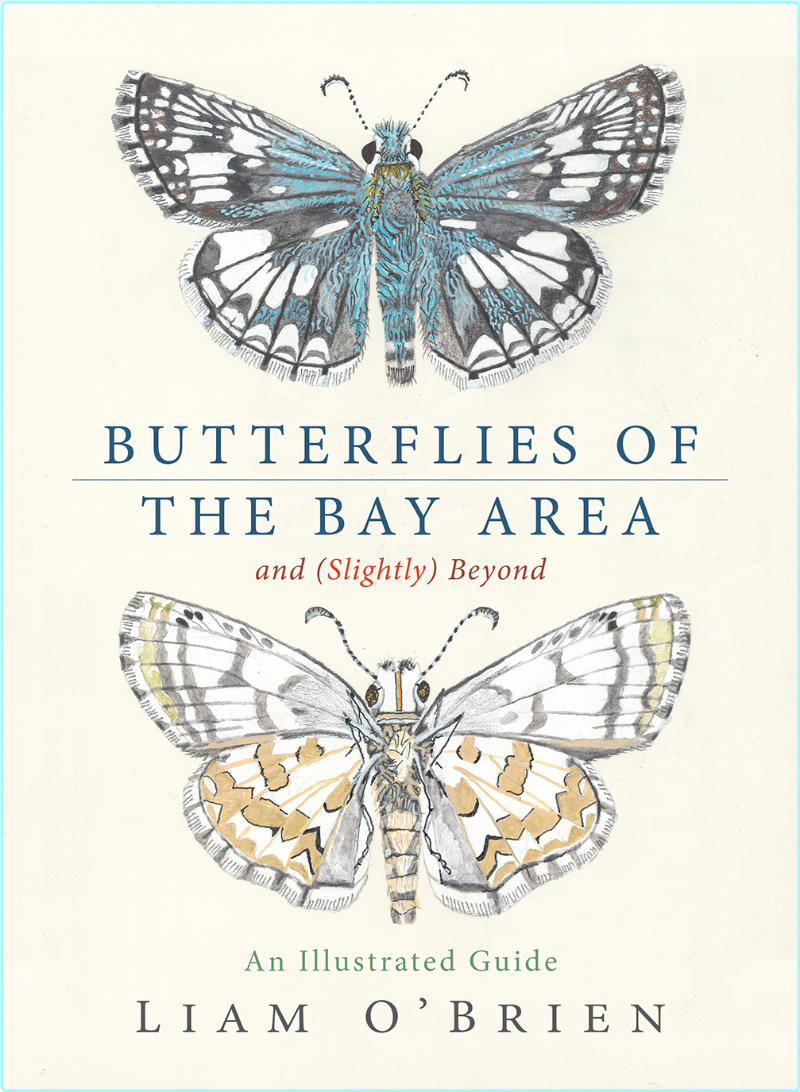 Butterflies Of The Bay Area And Slightly Beyond An Illustrated Guide (Liam O’Brien)
