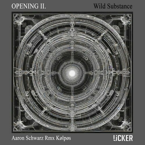  Aaron Schwarz - OPN II - Wild Substance (2024) 