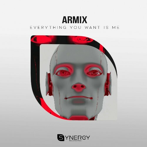 VA - Armix - Everything You Want Is Me (2024) (MP3) METLQ78_o