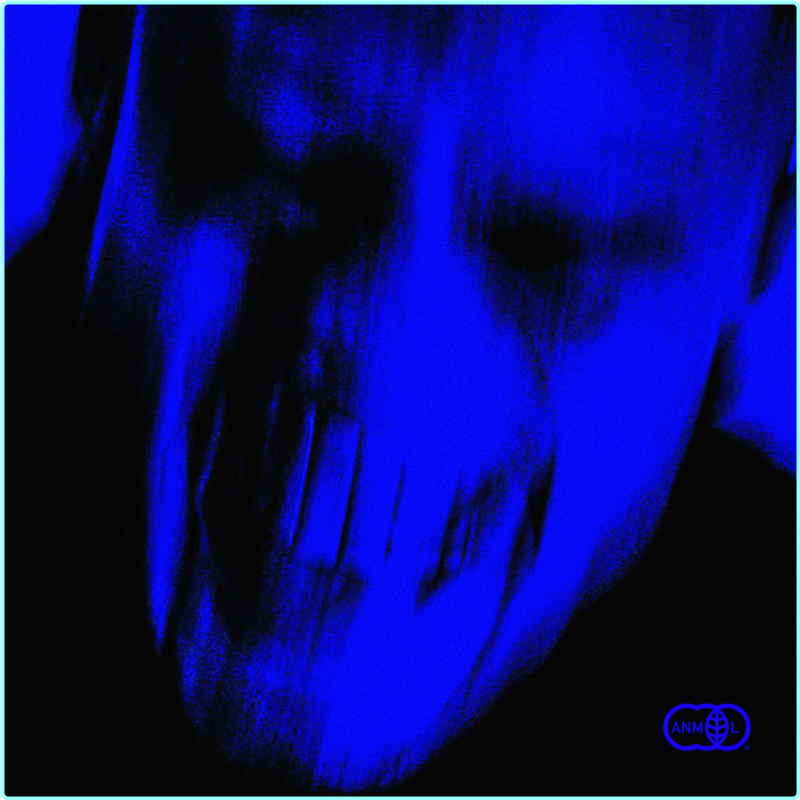 [Image: ME17UQAY_o.png]