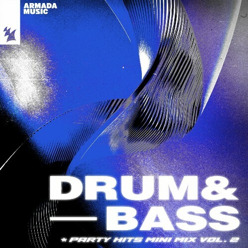 Drum & Bass Party Hits, Mini Mix Vol. 2 (2024)