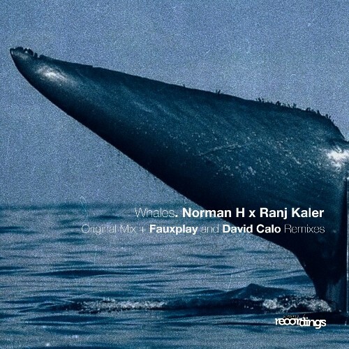  Norman H & Ranj Kaler - Whales (2025) 