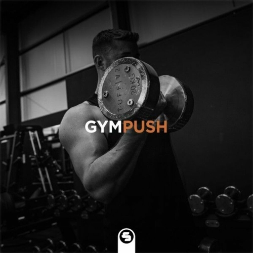  Gympush, Vol. 8 (2025) 