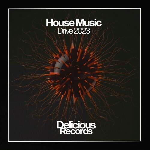  Delicious - House Music Drive 2023 (2023) 