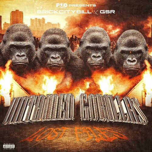  GSR - Untamed Gorillas (2025) 