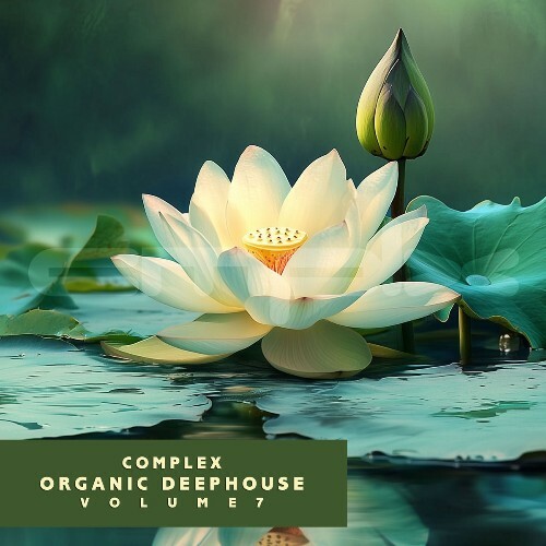  Complex Organic Deephouse, Vol. 7 (2026) 