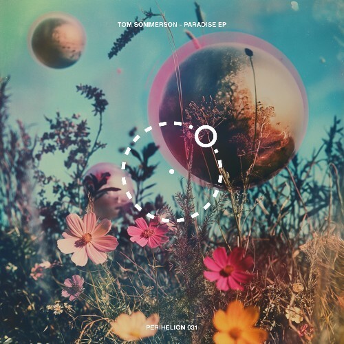  Tom Sommerson - Paradise (2025) 