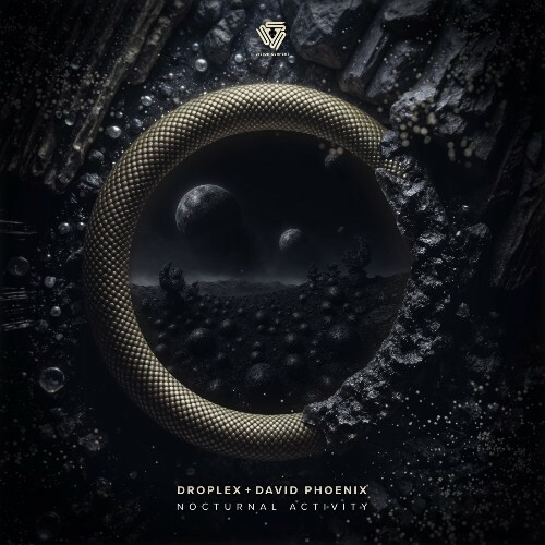 Droplex & David Phoenix - Nocturnal Activity (2026) Droplex & David Phoenix - Nocturnal Activity (2026)