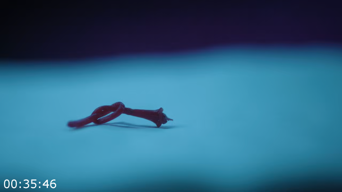 [Image: ME18WEDZ_o.png]