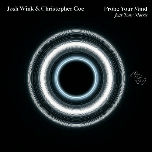  Josh Wink & Christopher Coe & Tony Morris - Probe Your Mind (2026) 