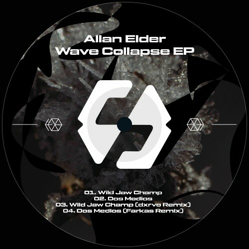  Allan Elder - Wave Collapse (2025) 