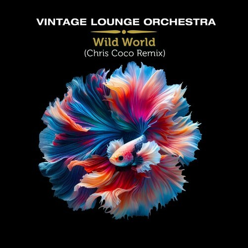 VA - Vintage Lounge Orchestra - Wild World (Chris Coco Remix) (2024... METUV7T_o