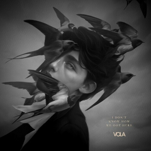 VA - Vola - I Don't Know How We Got Here (2024) (MP3)