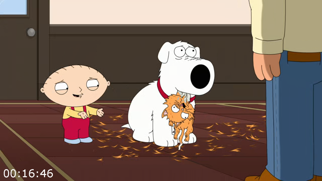 [Kép: ME1CKGXV_o.png]