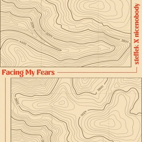  Steffek feat. nicenobody - Facing My Fears (2024) 