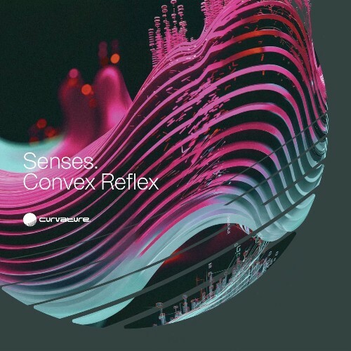 Senses - Convex Reflex (2025)   Senses - Convex Reflex (2025)