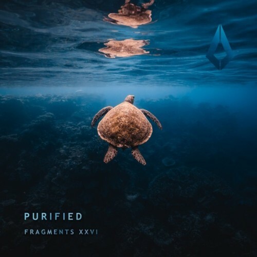  Kiholm x Outbeat x ANGL - Fragments XXVI (2024) 