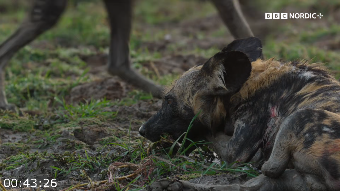 [Image: ME18D14R_o.png]