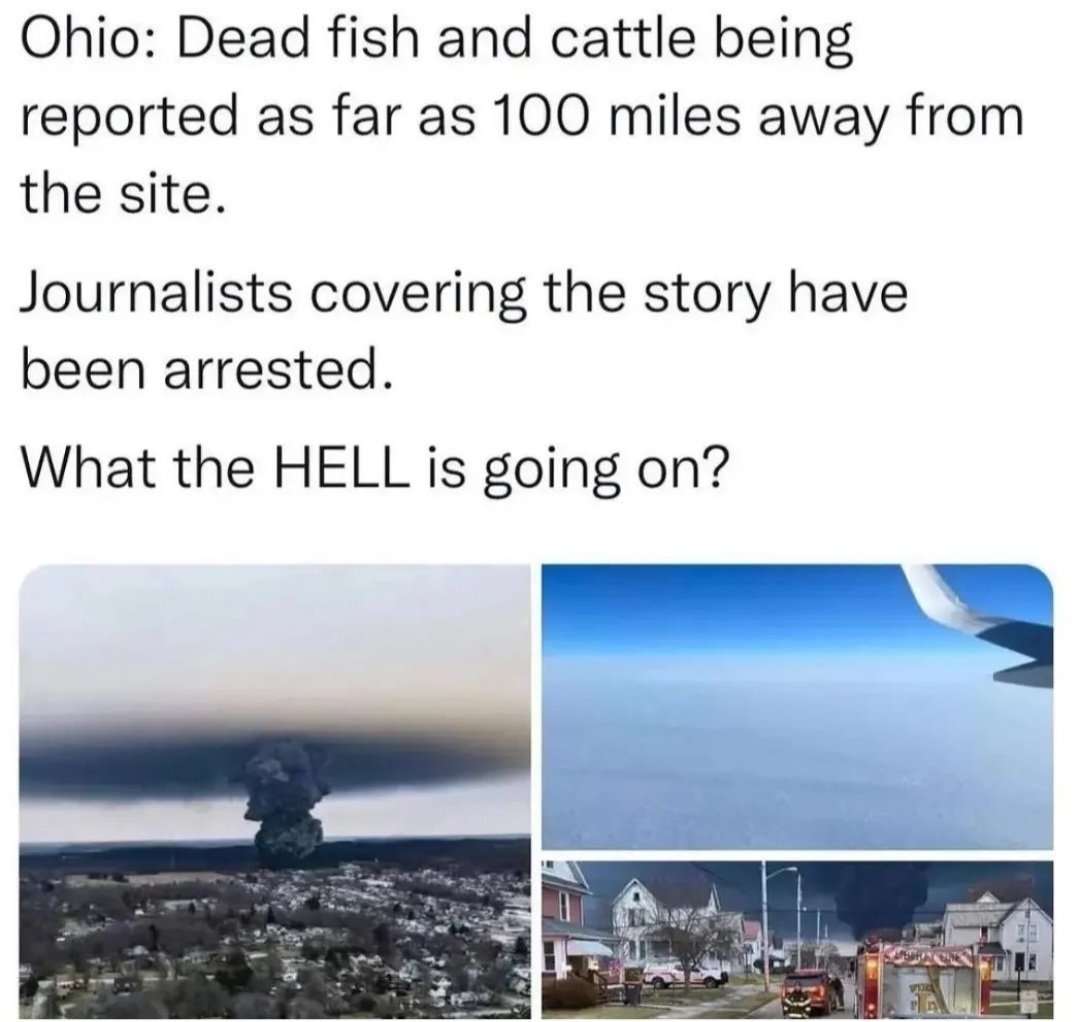 MEISAOQ_o.jpg